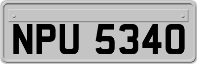 NPU5340