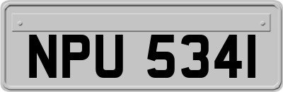 NPU5341