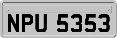 NPU5353