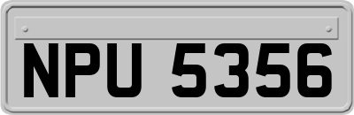 NPU5356