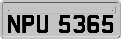 NPU5365
