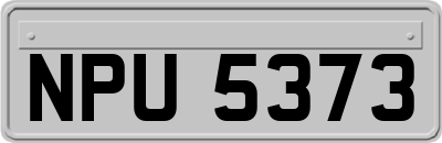 NPU5373
