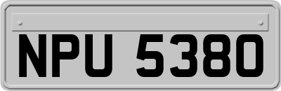 NPU5380