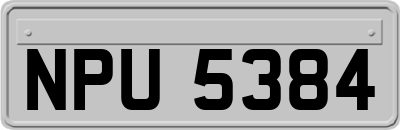 NPU5384