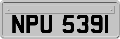 NPU5391