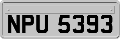 NPU5393