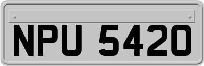 NPU5420