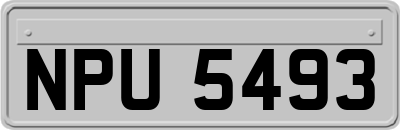 NPU5493