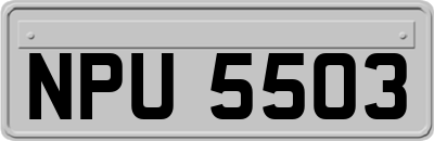 NPU5503