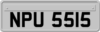 NPU5515