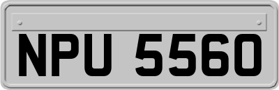 NPU5560