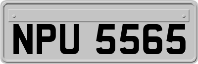 NPU5565