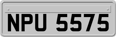 NPU5575