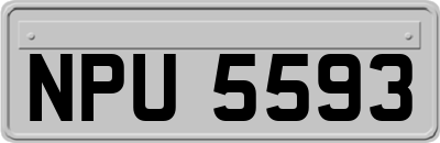 NPU5593