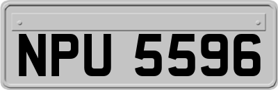 NPU5596