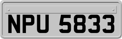 NPU5833