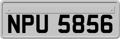NPU5856