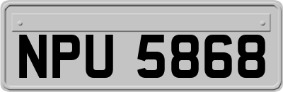 NPU5868
