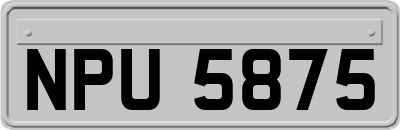 NPU5875