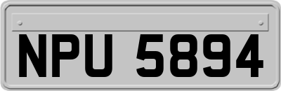 NPU5894