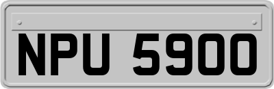 NPU5900