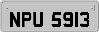 NPU5913