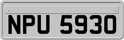 NPU5930