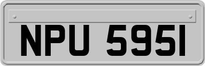 NPU5951