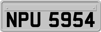 NPU5954