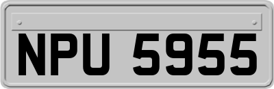 NPU5955