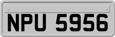 NPU5956