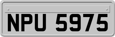 NPU5975