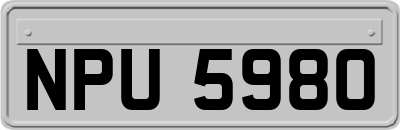 NPU5980