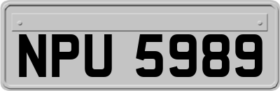 NPU5989
