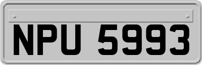 NPU5993