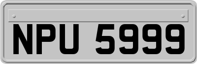 NPU5999