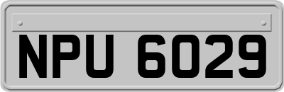 NPU6029
