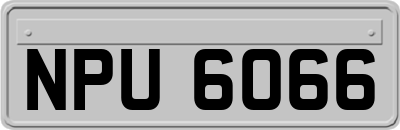 NPU6066