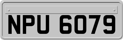 NPU6079