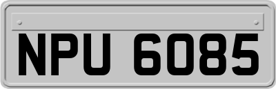 NPU6085