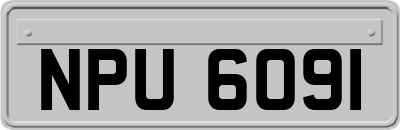 NPU6091