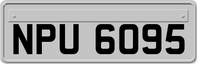 NPU6095