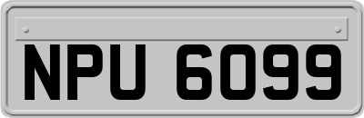 NPU6099