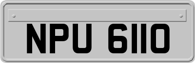 NPU6110