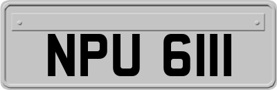 NPU6111
