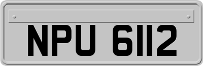 NPU6112