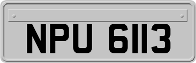 NPU6113