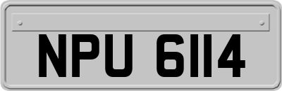NPU6114