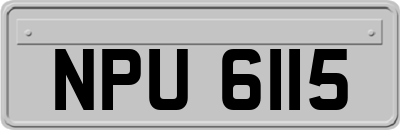 NPU6115