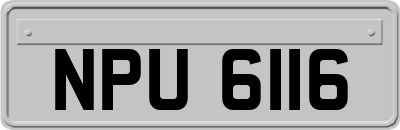 NPU6116